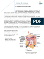 Tema 11-Bloque II-La Piel. Estructura y Funciones.pdf