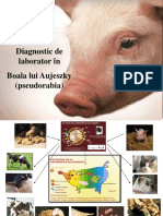 Boala Lui Aujeszky (Pseudorabie) PDF