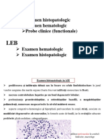 Histopatologie Hematologie LEB Si AIE