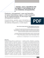 8 Características, Manejo, Usos y Beneficios Del Saúco (Sambucus Nigra L PDF