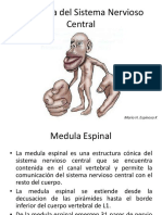 Atlas de Neuroanatomia 2012