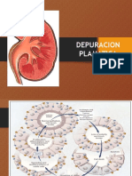 Depuracion Plsmaticca y Otros