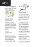 Exercícios Sobre Origem Da Vida 7º Ano Ciências Ensino Fundamental