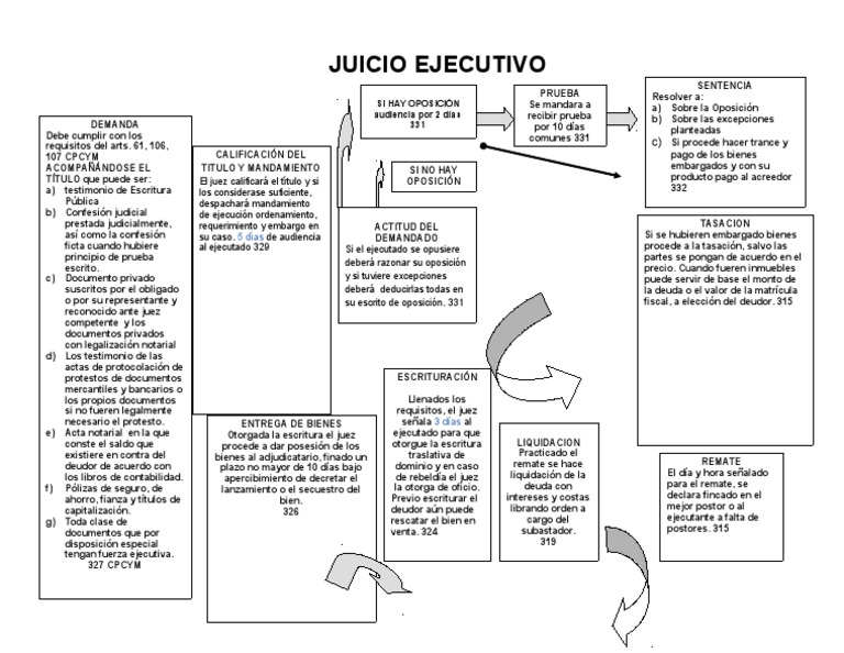 Mapa Conceptual Juicio Ejecutivo Pagos Evidencia (ley)