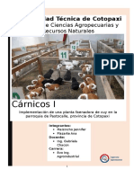 proyecto carnicos