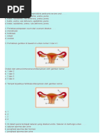 Soalbiologireproduksi 170509022259