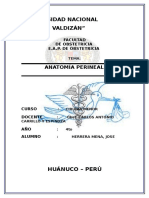 Anatomia Perineal