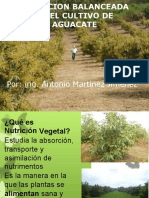 Nutricion Aguacate - Mtnez