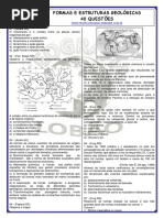 Formas e Estruturas Geológicas 40 Questões
