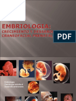 Embriologia Sistema Estomatognatico