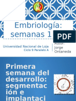 Segmentación e implantación del embrión.pptx