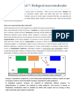 Lec 6,7 Biological Macromolecules RM