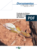 Producao-de-Mudas-principais-tecnicas-utilizadas-na-propagacao-de-fruteiras.pdf