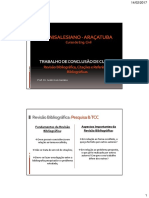 Revisão Bibliográfica Citações Referências PDF