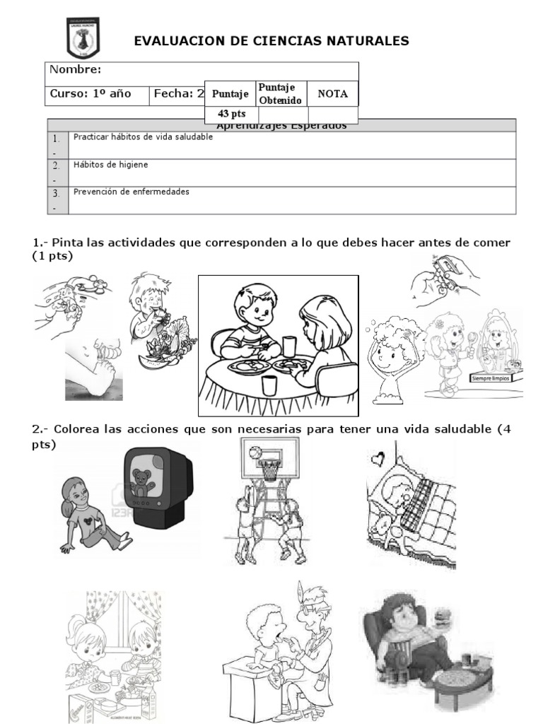 Habitos de Vida Saludable | PDF | Alimentos | Bienestar