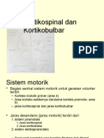 Kortikospinal_kortikobulbar.pptx