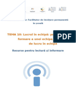 TEMA 10: Lucrul În Echipă: Procesul de Formare A Unei Echipe, Strategii de Lucru În Echipă