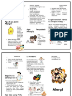 Leaflet Alergi 2