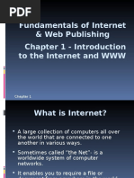 Fundamentals of Internet & Web Publishing Chapter 1 - Introduction To The Internet and WWW