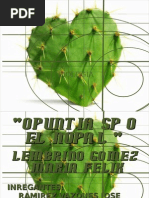 Download EL NOPAL OPUNTIA SP by nosoypirata SN3483989 doc pdf
