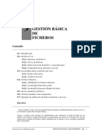 Gestion-Ficheros_C++.pdf