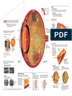 retinopatia_diabetica_copyright.pdf