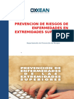 Prevencion de Riesgos de Enferemedades en Extremidades Superiores