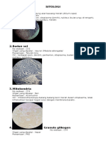 Histologi Blok 2