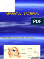 Aparatul Lacrimal