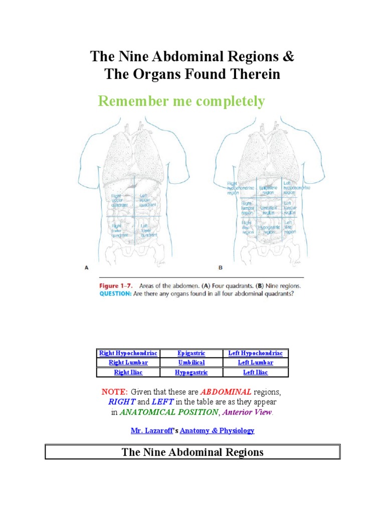 9 intelligence overview