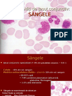 Curs 9 Histo Sangele 130131090545 Phpapp01