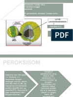 Peroksisom Dan Glioksisom