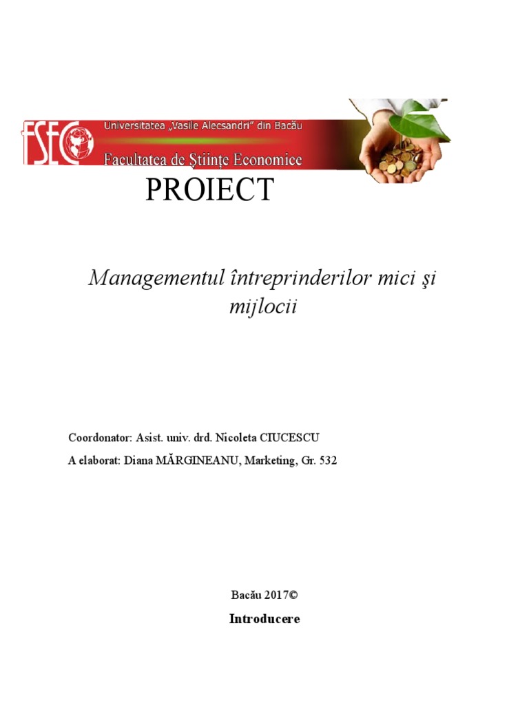 Proiect IMM | PDF