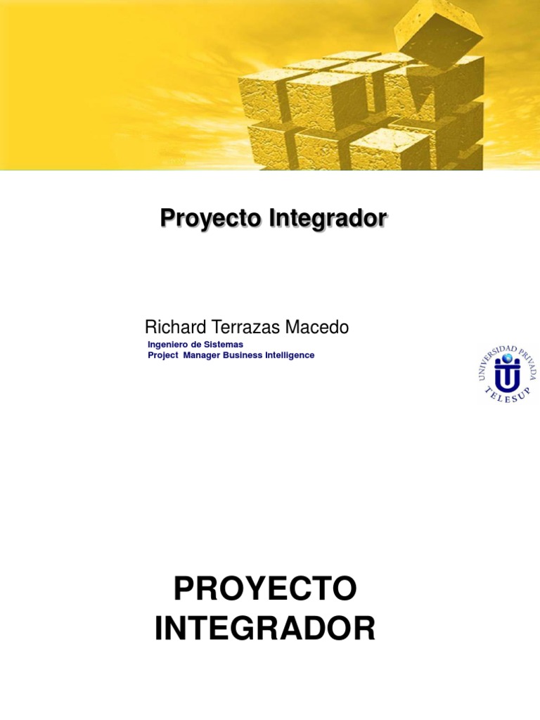 Clase01 Proyecto Integrador I PDF | PDF | Gestión de proyectos | Software