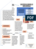 Denticion Temporal