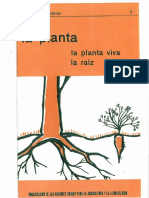 01_La planta.pdf