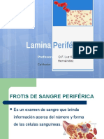 Lamina Periferica Practica