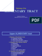 Upper Alimentary Tract