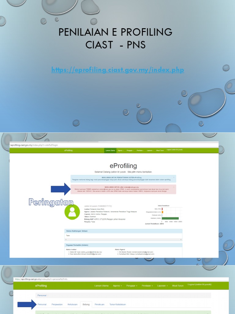 Step Penilaian e Profiling | PDF