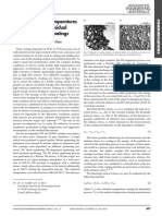 Effects of Elevated Temperatures and Oxidation On Residual Stresses in (Ti, Al) N Coatings