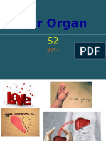 Kultur Organ S2 2017