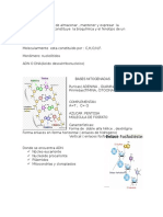 Material de Apoyo DNA