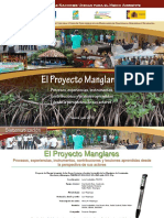 SistematizacionProyectoManglares