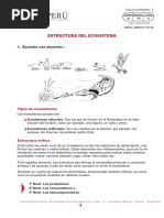 Estructura Del Ecosst PDF
