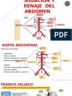 Vascular Abdomen