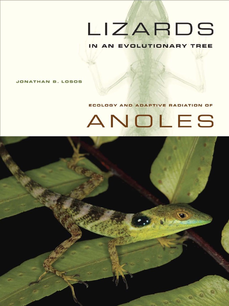 Jonathan B. Losos-Lizards in An Evolutionary Tree Ecology and