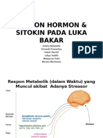 Draft 1 Luka Bakar - Hormon & Interleukin Rev Mel.pptx