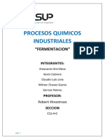 Fermentacion Procesos Quimicos