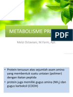 XI. Metabolisme Protein