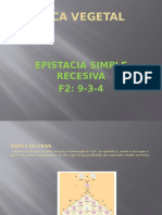 Epistacias Simple Recesiva